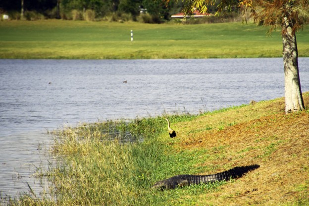 Royal St. Cloud Golf Links